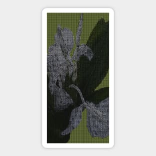 Nature Art Ginger Lily Photograph Sticker